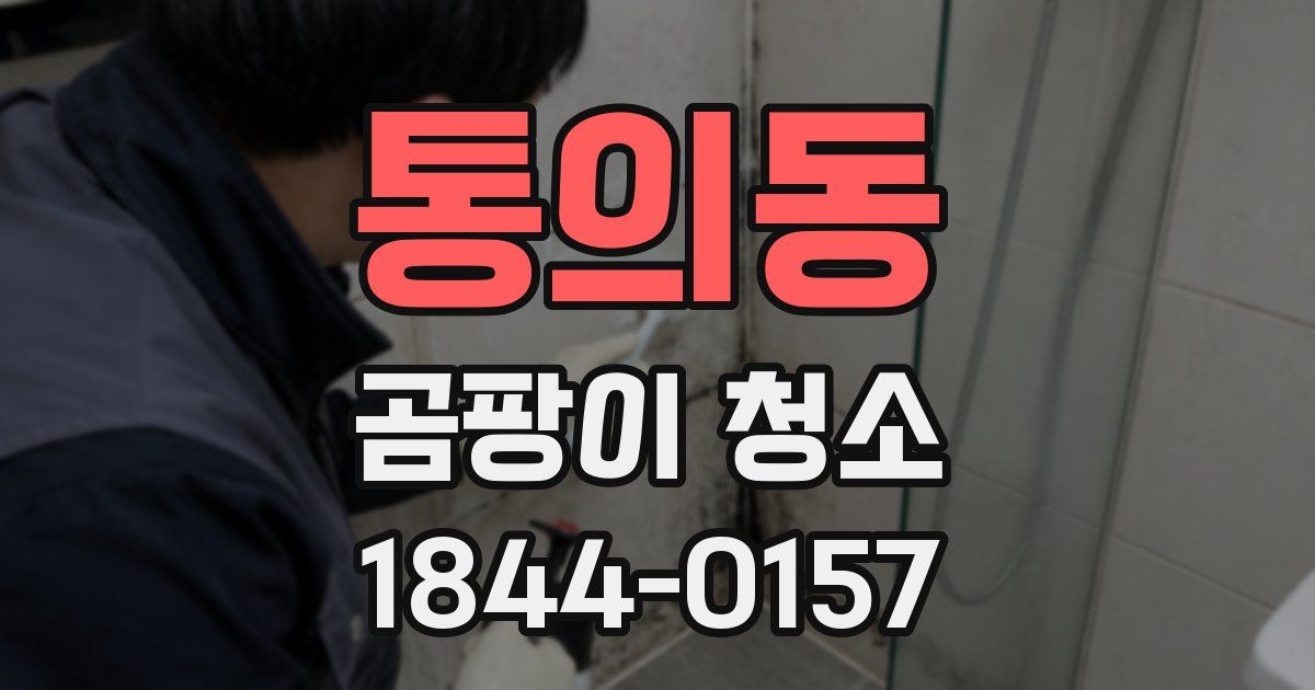 통의동 곰팡이 청소
