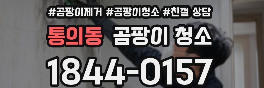 통의동 곰팡이 청소
