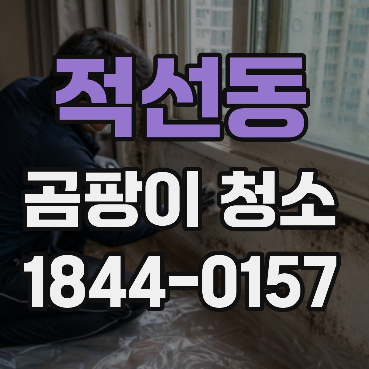 적선동 곰팡이 청소