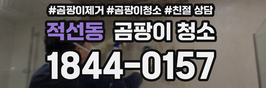 적선동 곰팡이 청소