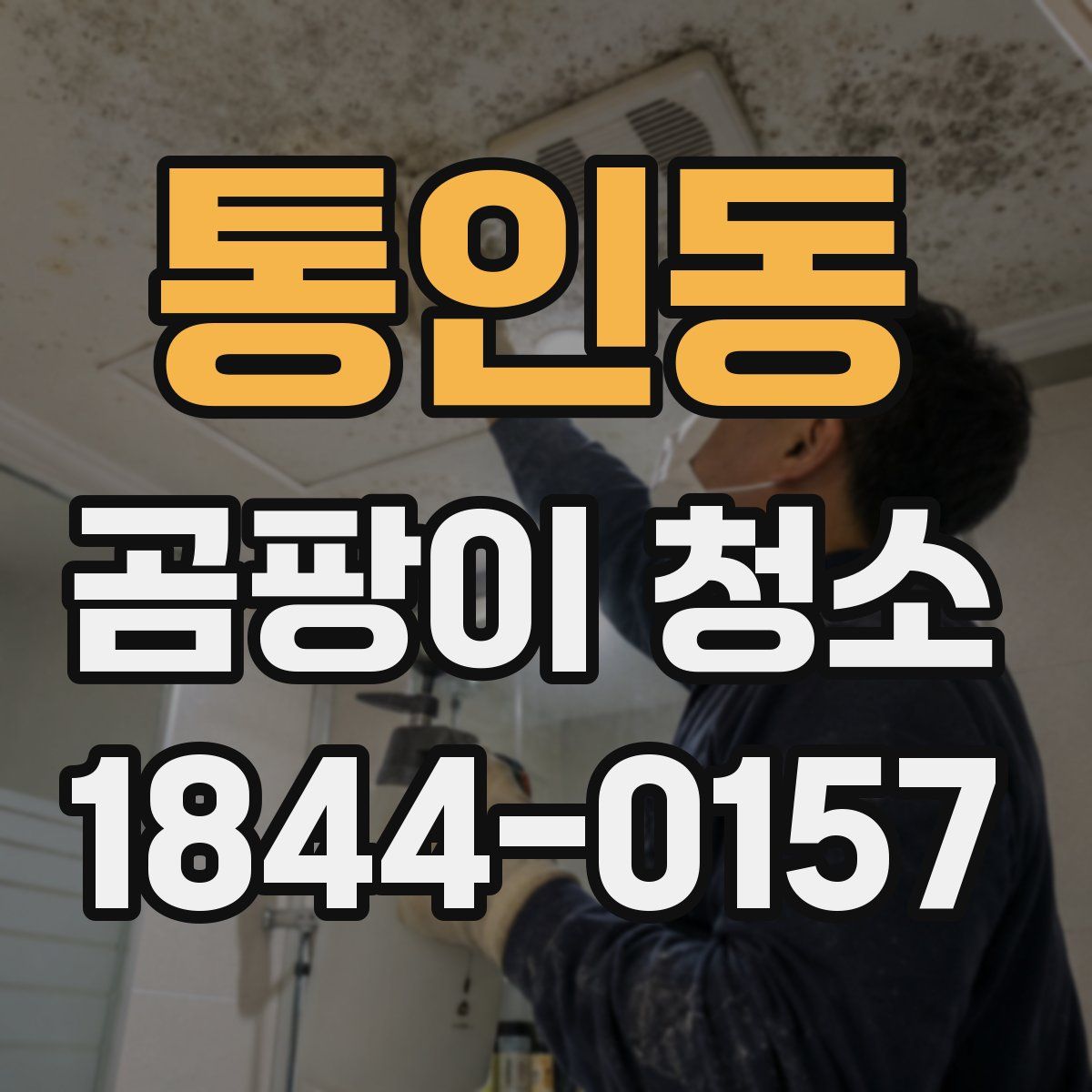 통인동 곰팡이 청소