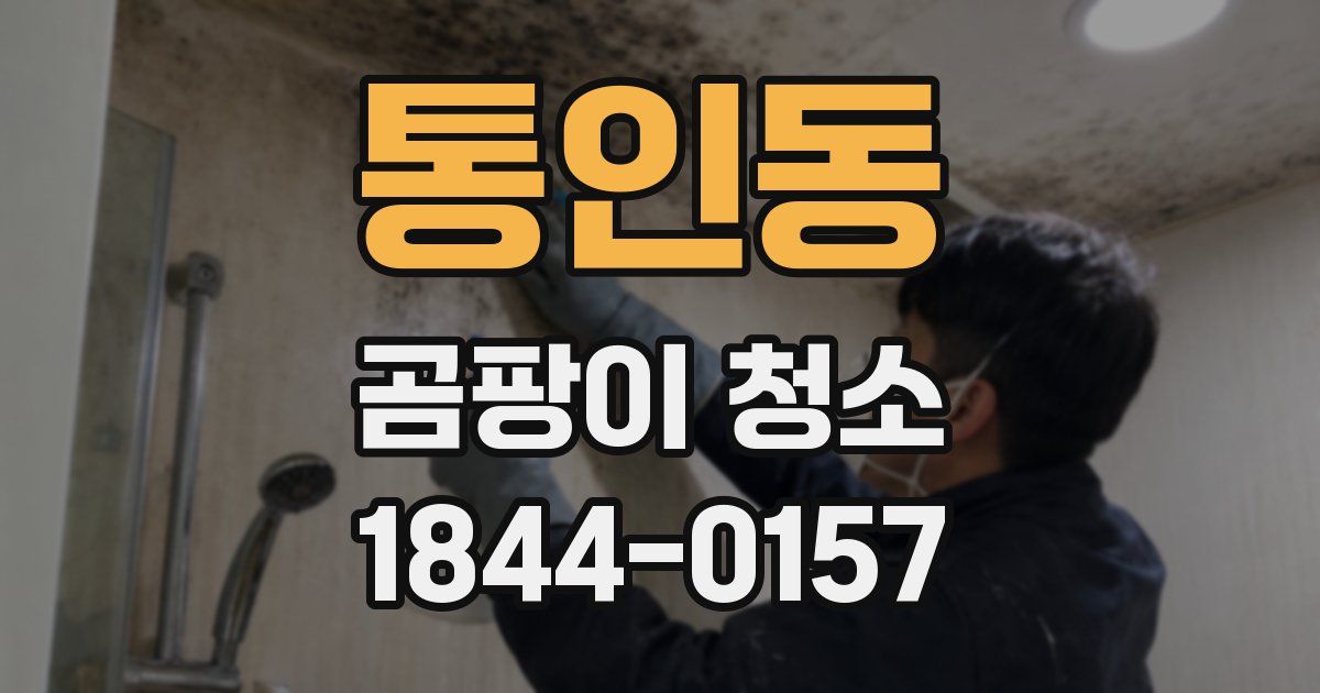 통인동 곰팡이 청소