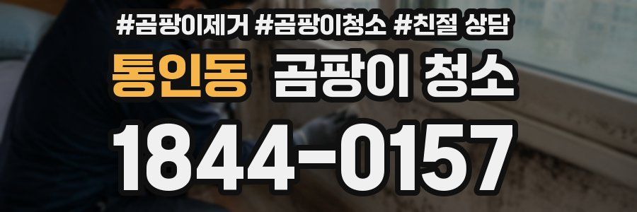 통인동 곰팡이 청소