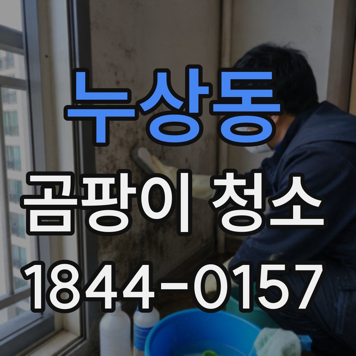 누상동 곰팡이 청소