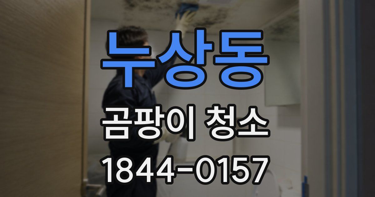 누상동 곰팡이 청소