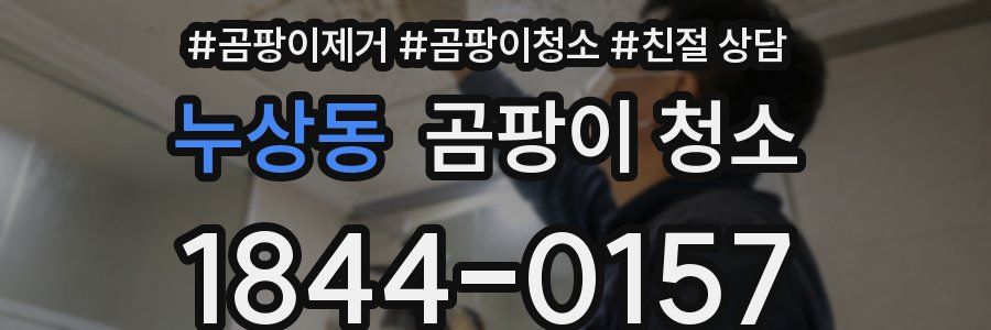 누상동 곰팡이 청소
