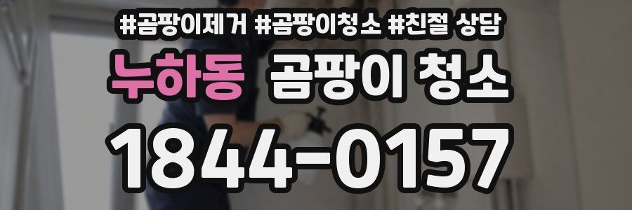 누하동 곰팡이 청소
