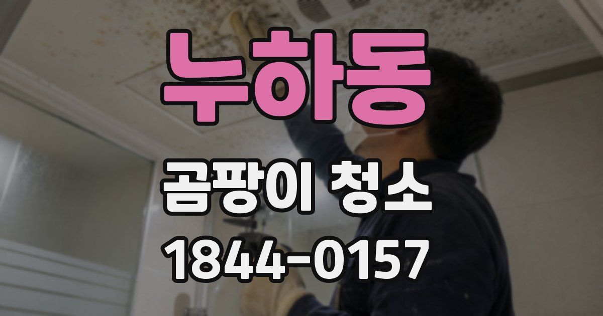 누하동 곰팡이 청소