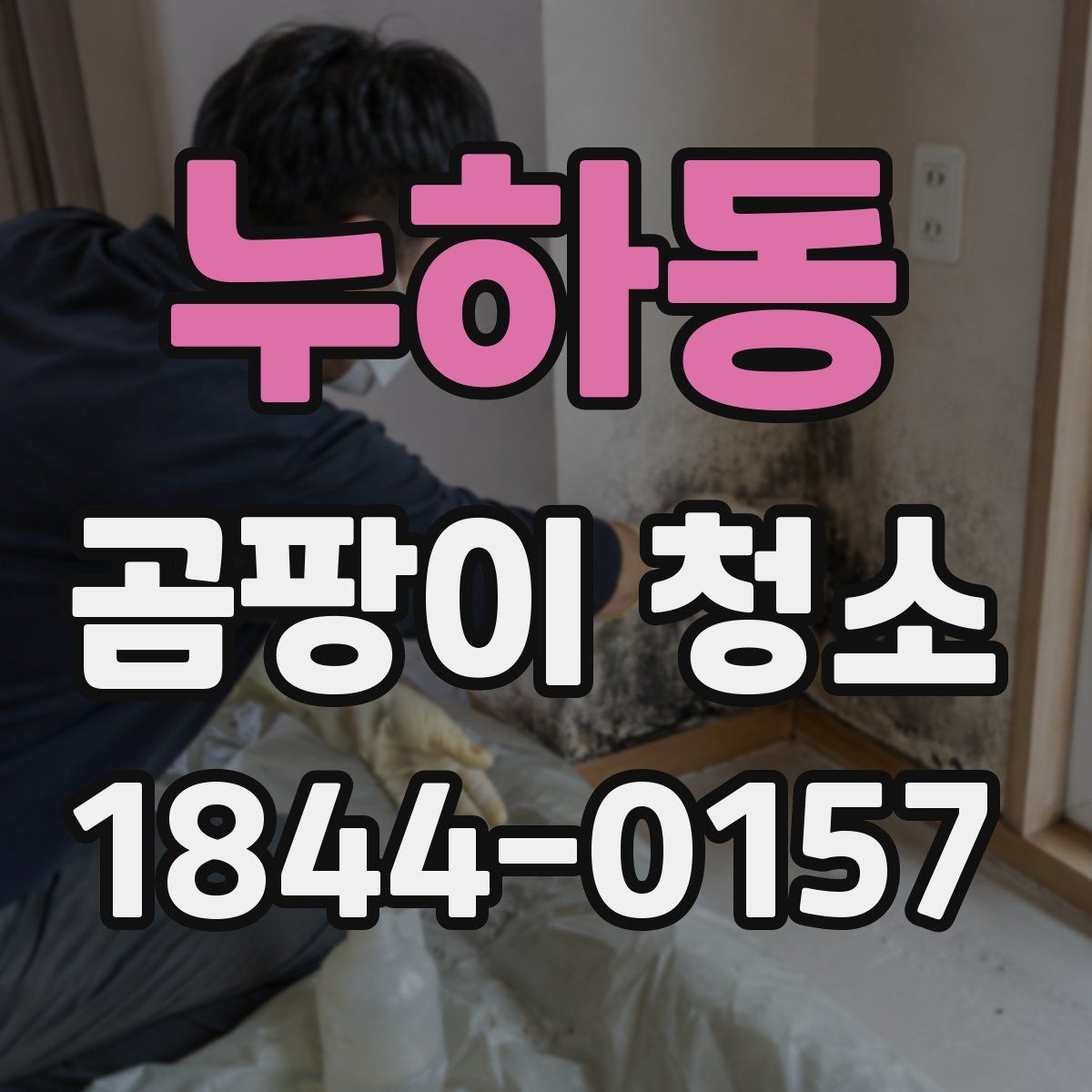 누하동 곰팡이 청소