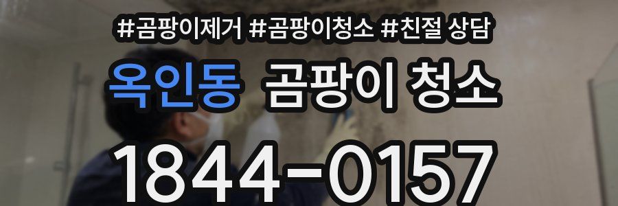 옥인동 곰팡이 청소