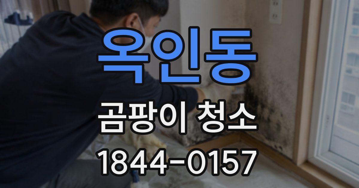 옥인동 곰팡이 청소