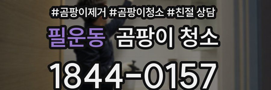 필운동 곰팡이 청소