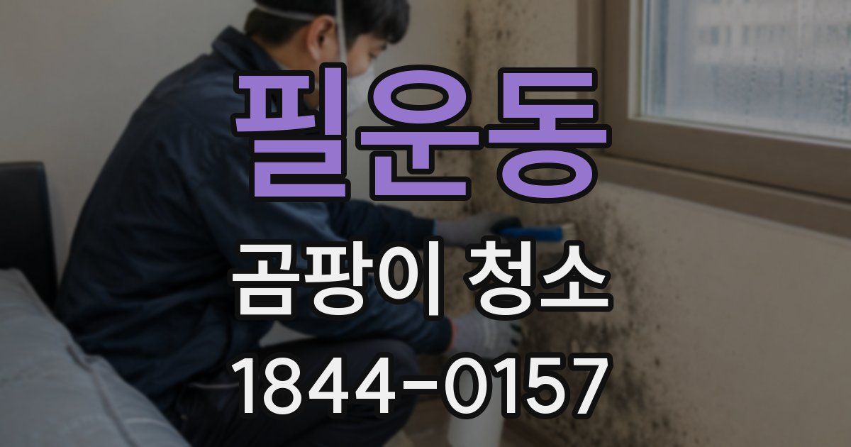 필운동 곰팡이 청소