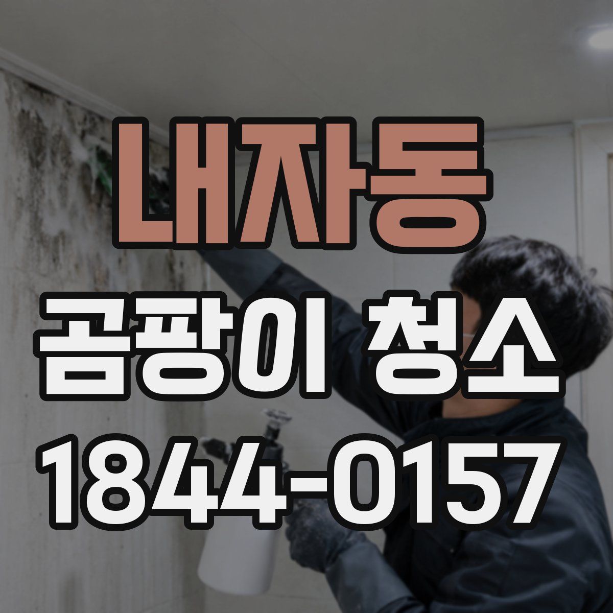 내자동 곰팡이 청소