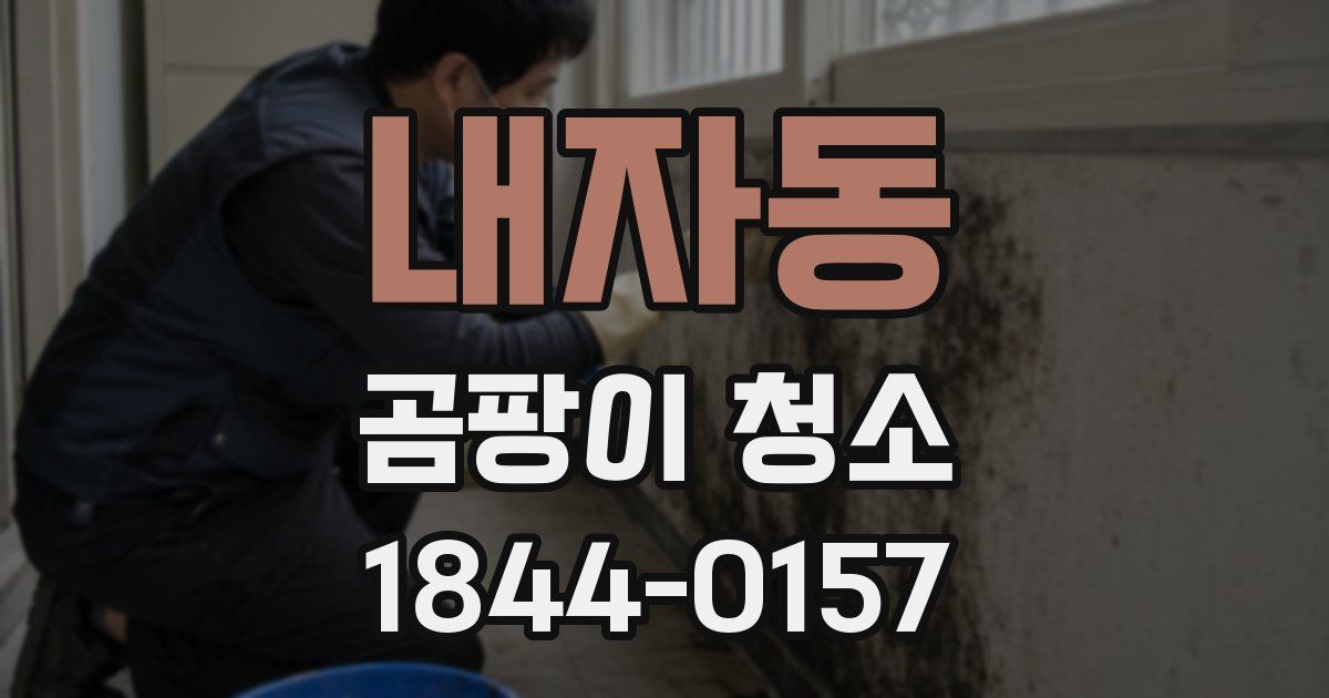 내자동 곰팡이 청소