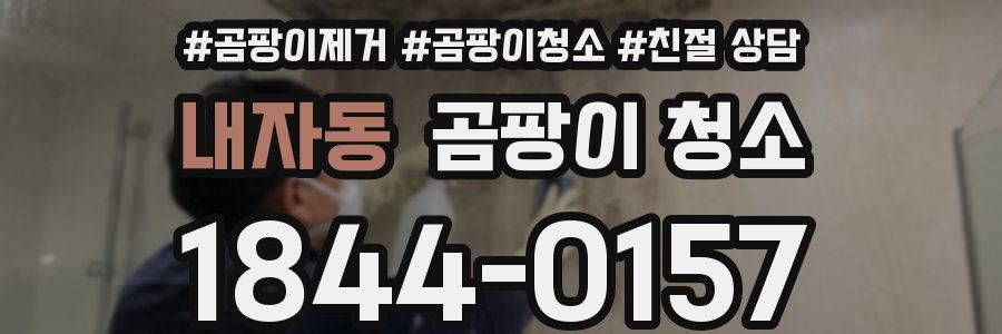 내자동 곰팡이 청소