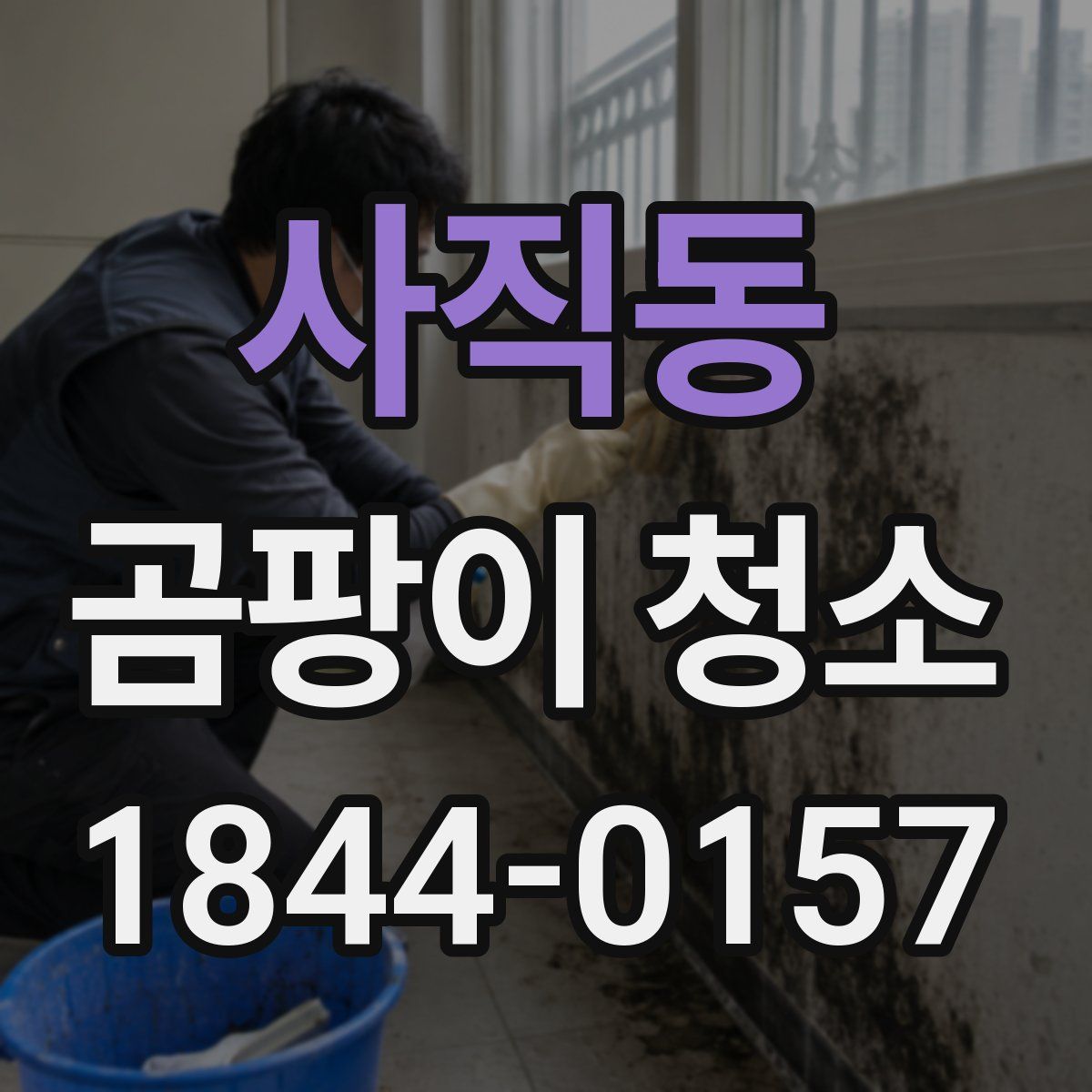 사직동 곰팡이 청소