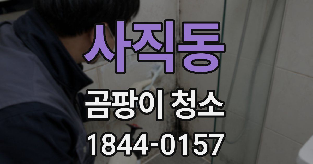 사직동 곰팡이 청소
