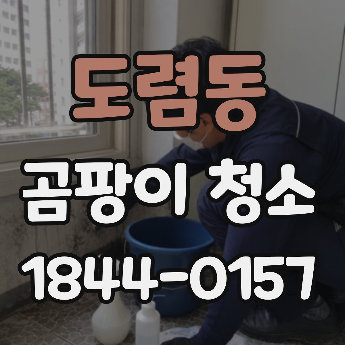 도렴동 곰팡이 청소
