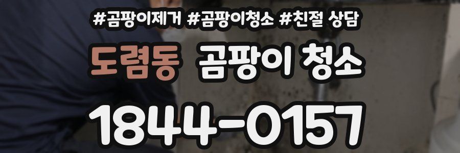 도렴동 곰팡이 청소