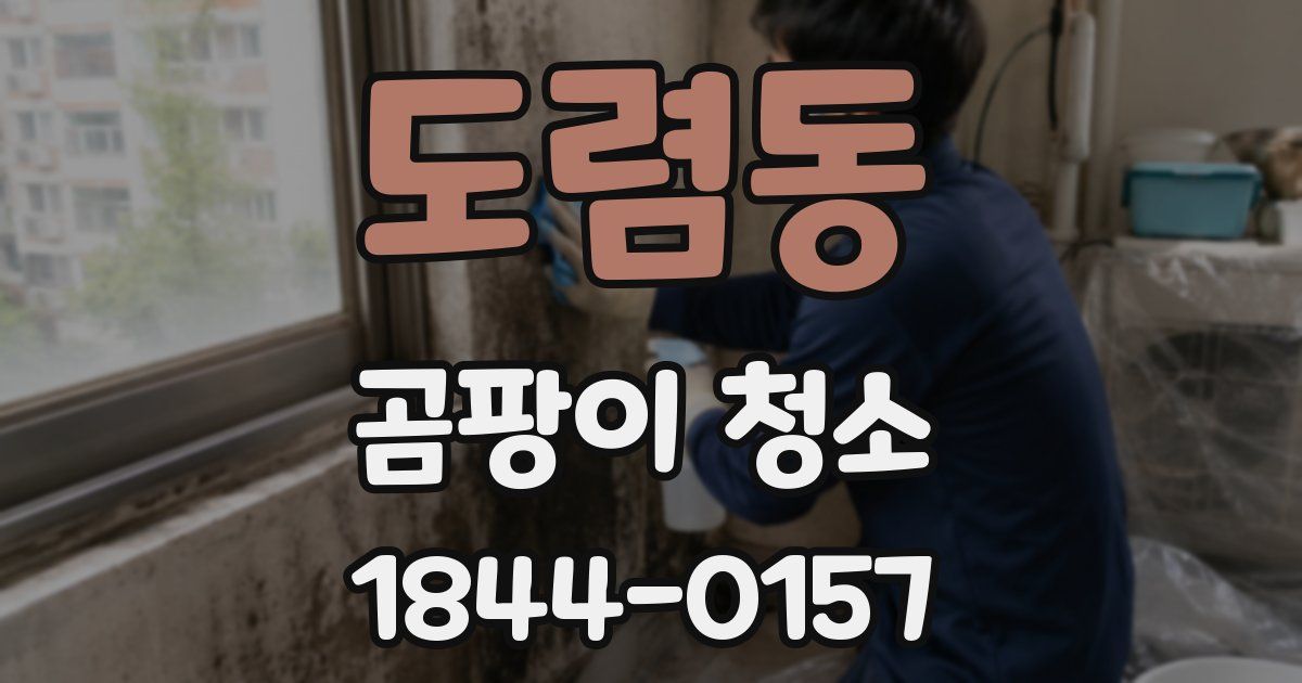 도렴동 곰팡이 청소