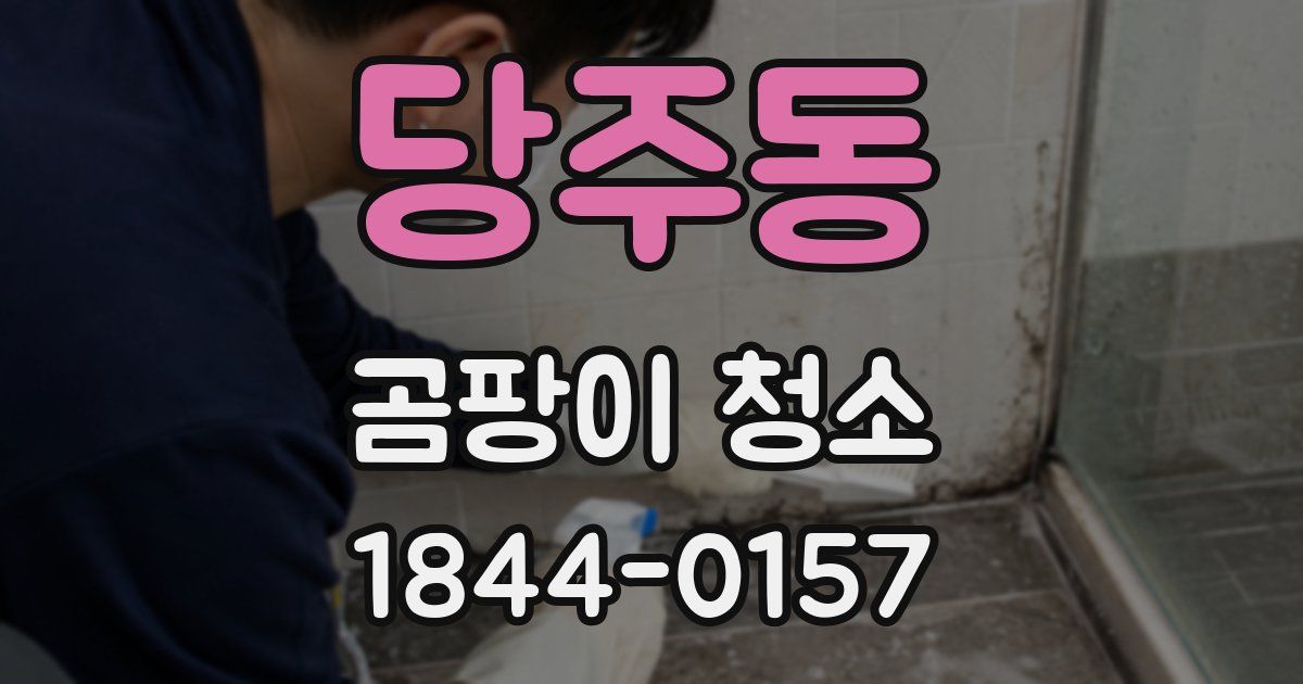 당주동 곰팡이 청소