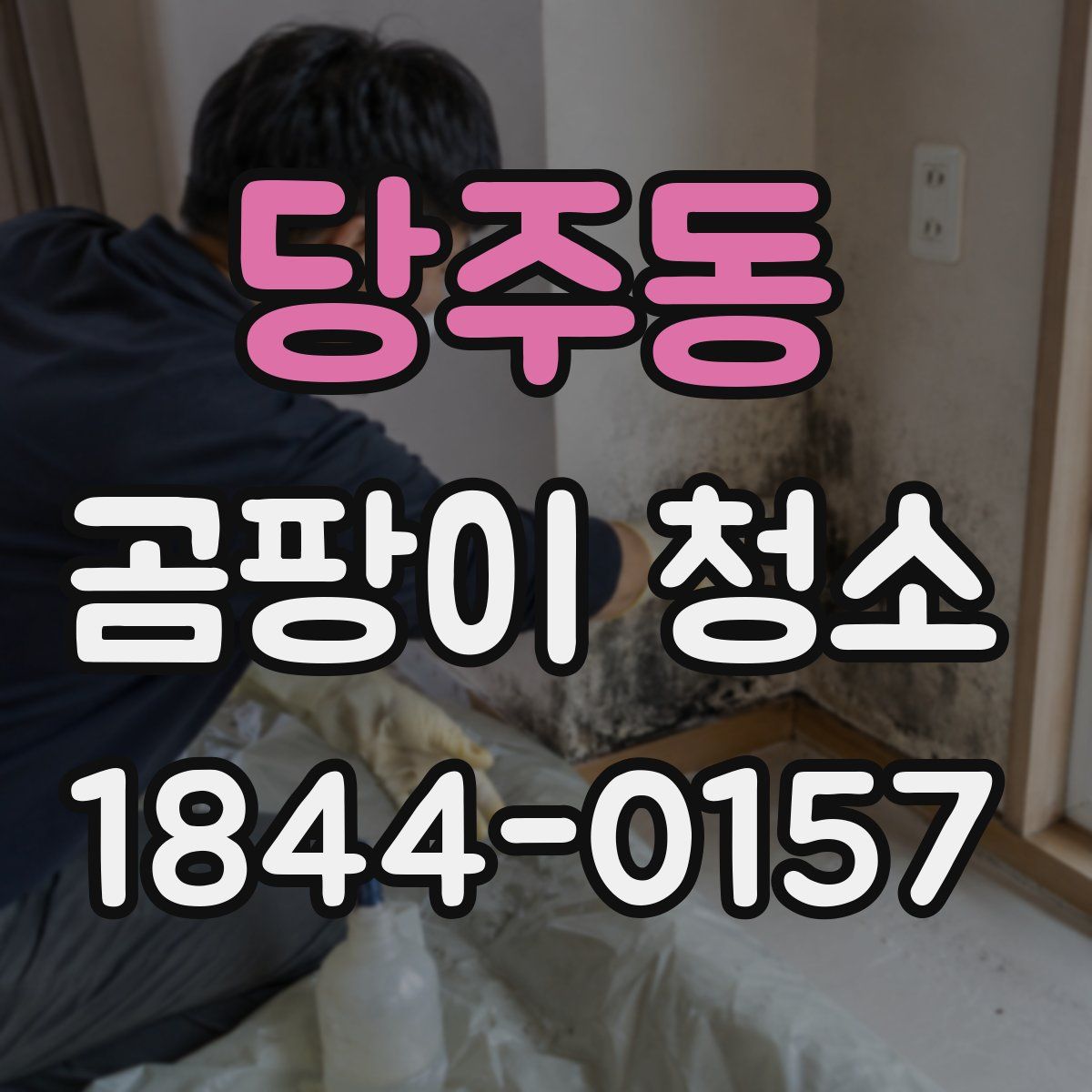 당주동 곰팡이 청소