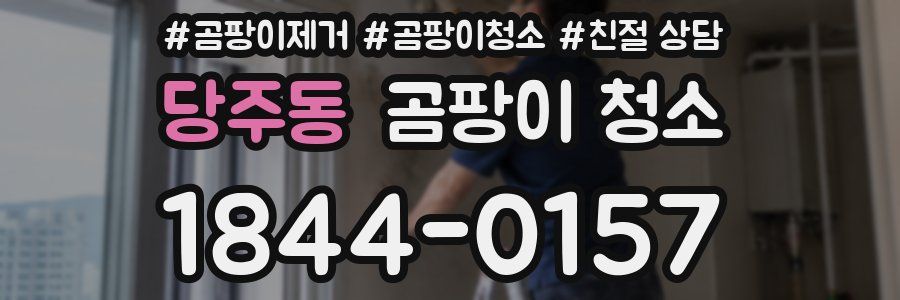 당주동 곰팡이 청소