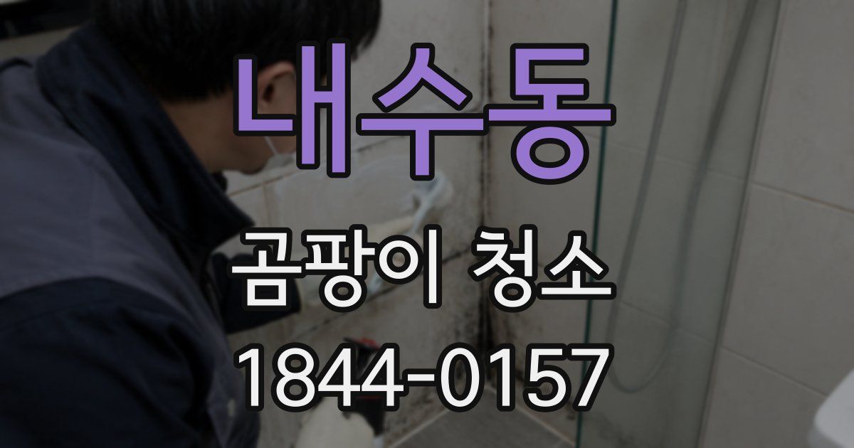 내수동 곰팡이 청소