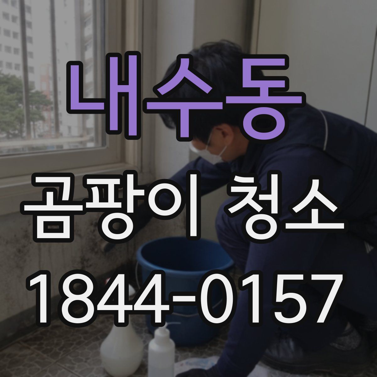 내수동 곰팡이 청소
