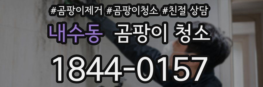 내수동 곰팡이 청소