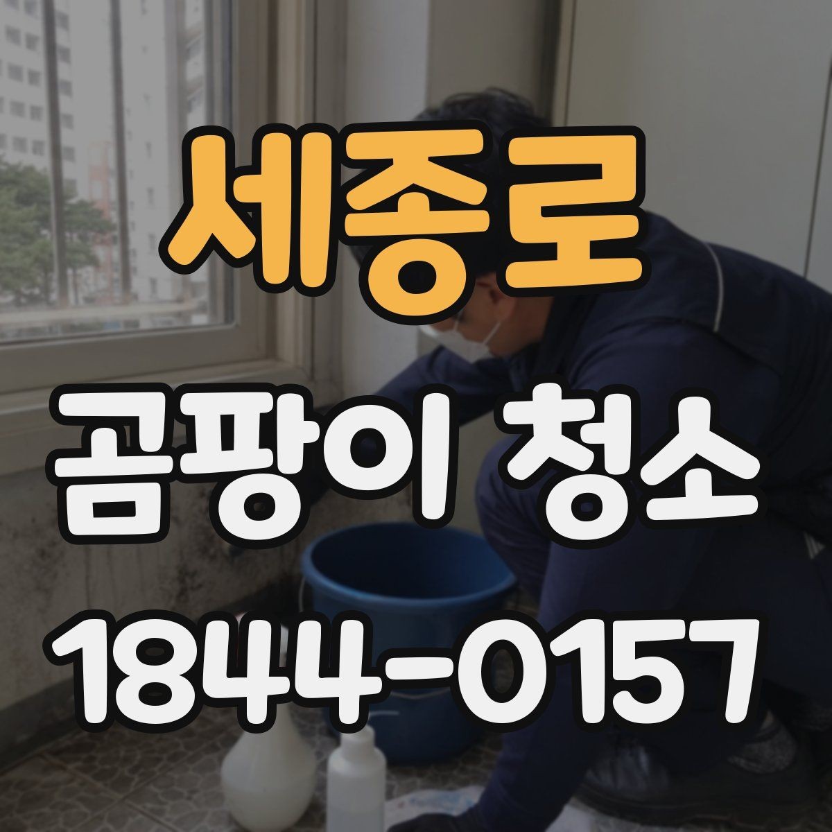 세종로 곰팡이 청소 전에 원인을 진단해야 하는 이유