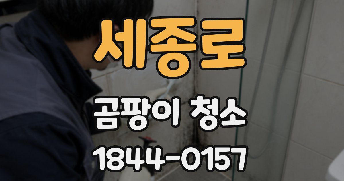 세종로 곰팡이 청소