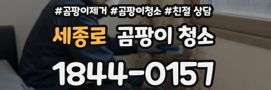 세종로 곰팡이 청소