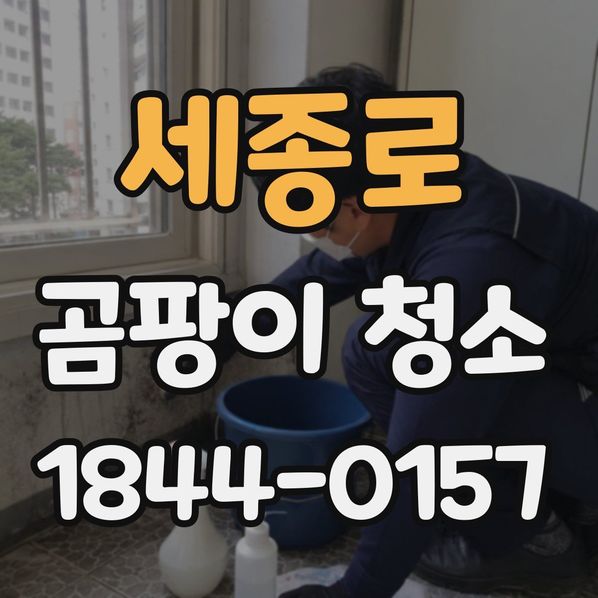 세종로 곰팡이 청소