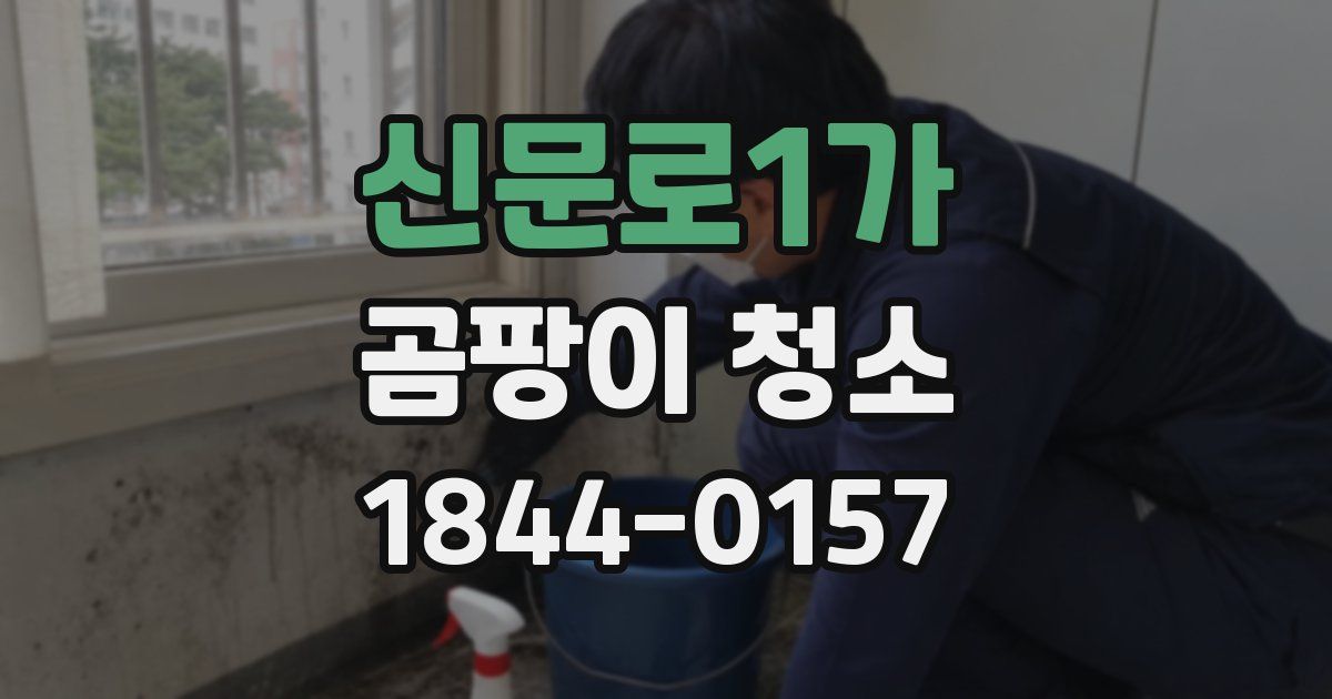 신문로1가 곰팡이 청소