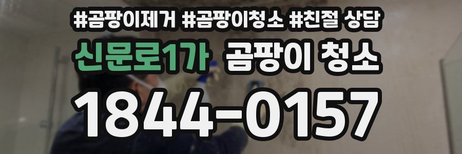 신문로1가 곰팡이 청소