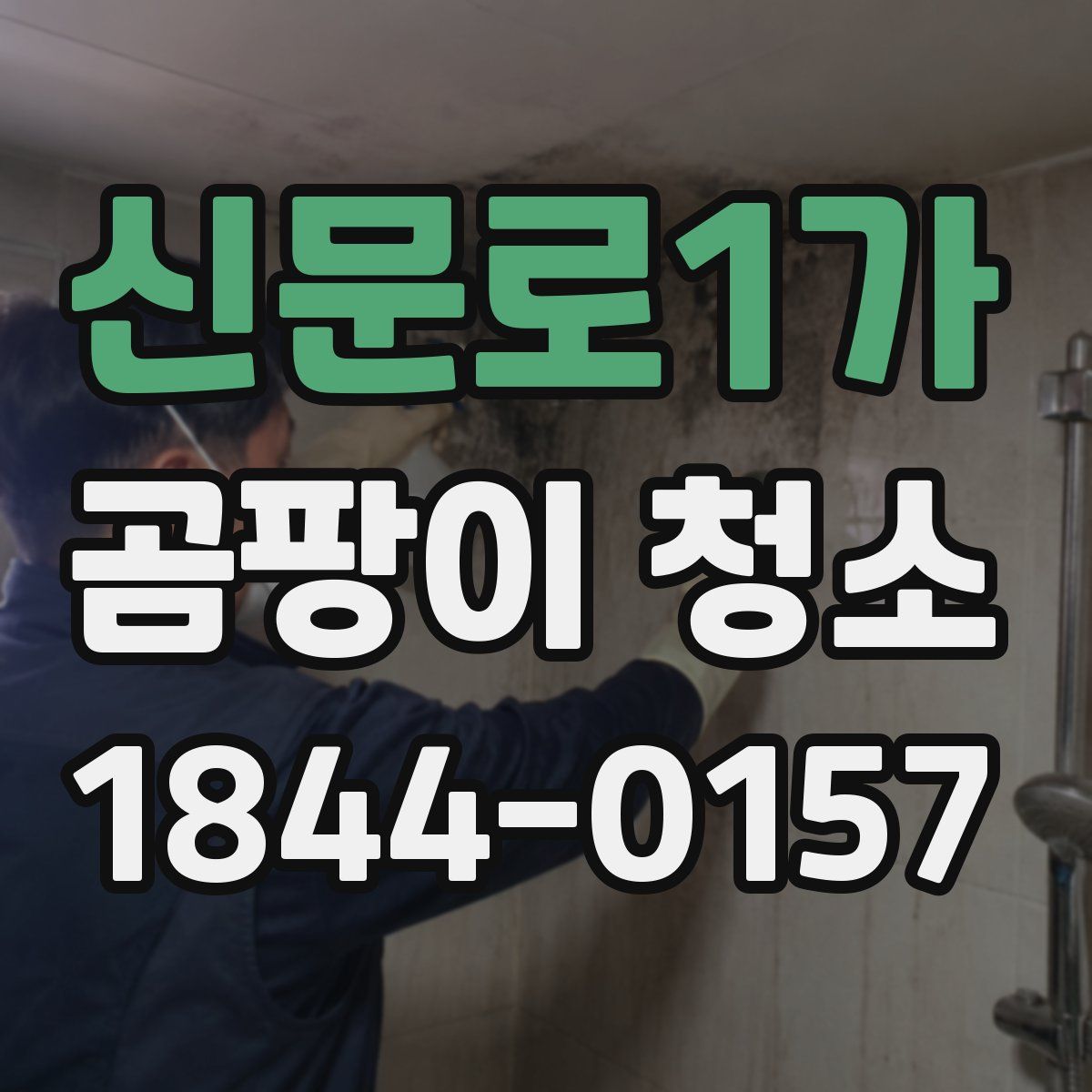 신문로1가 곰팡이 청소