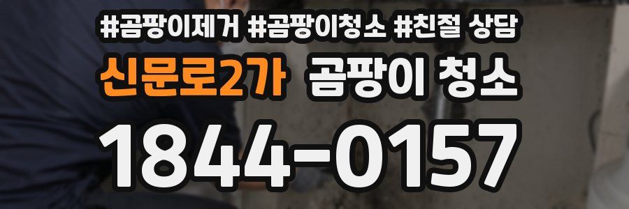 신문로2가 곰팡이 청소
