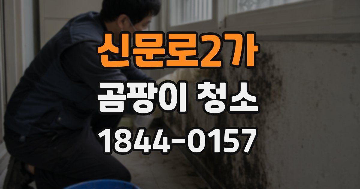 신문로2가 곰팡이 청소