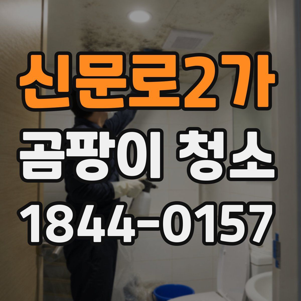 신문로2가 곰팡이 청소
