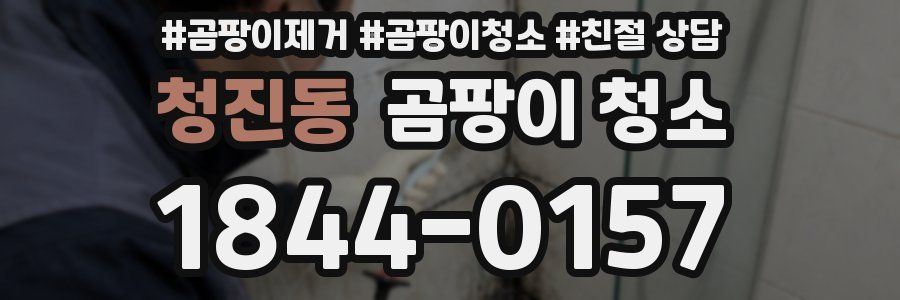 청진동 곰팡이 청소