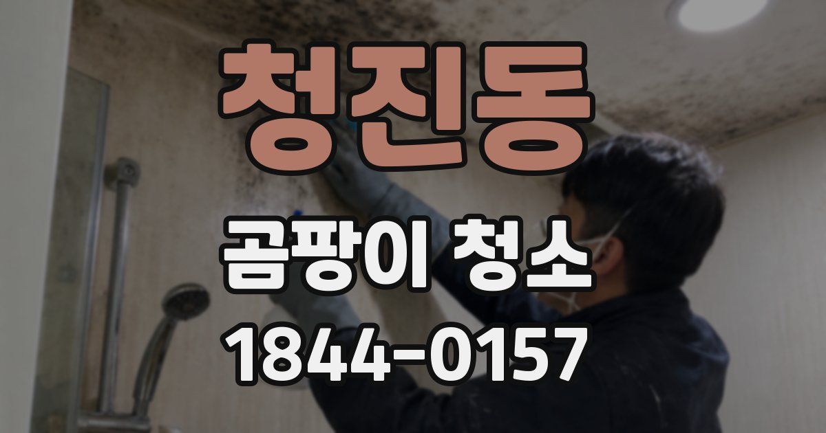 청진동 곰팡이 청소