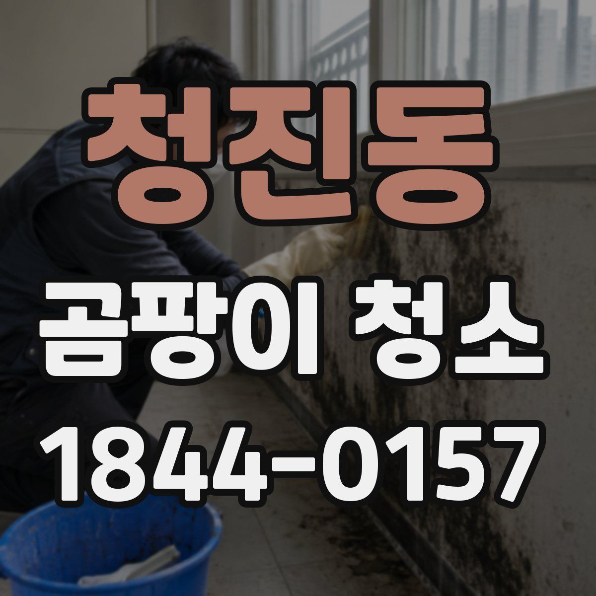 청진동 곰팡이 청소