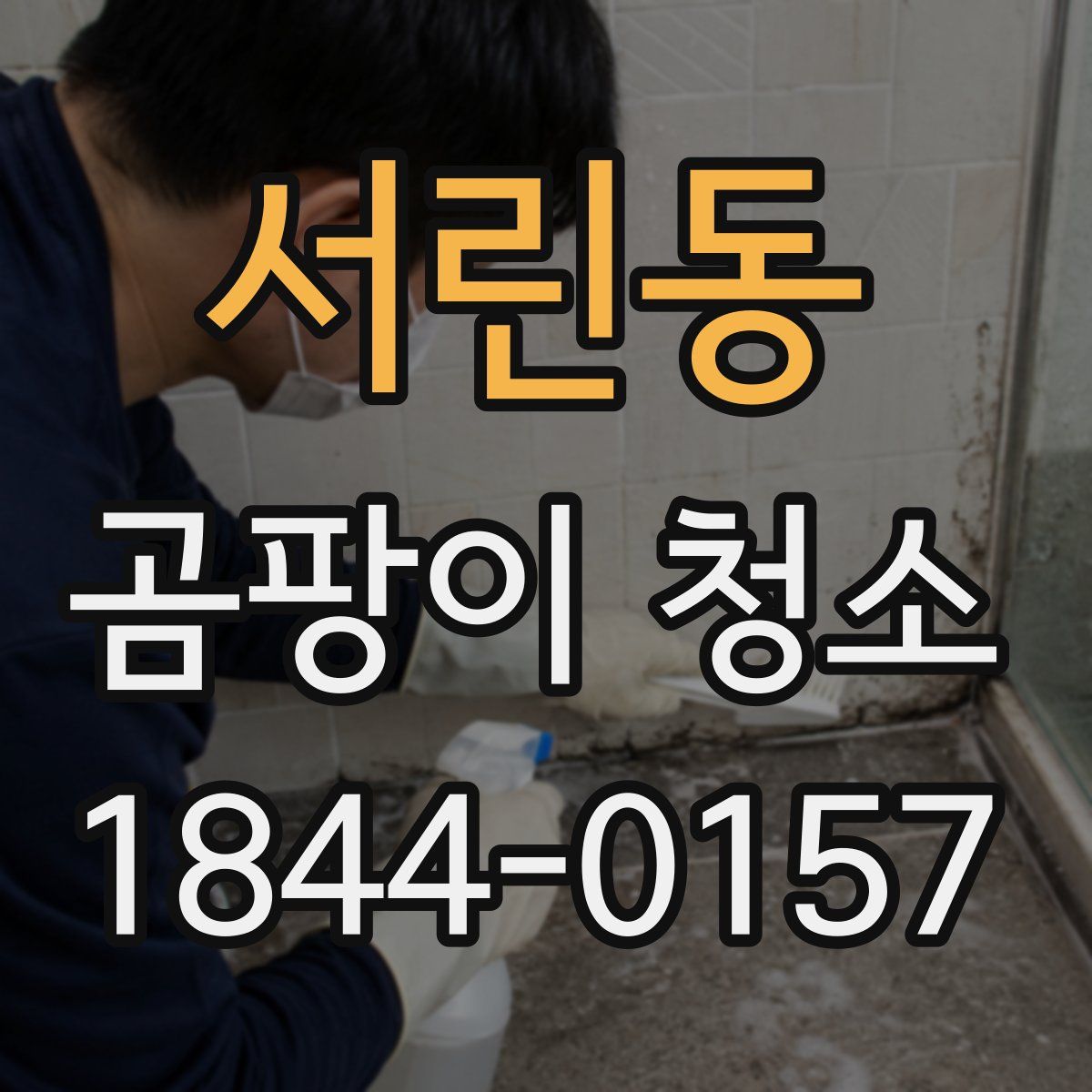 서린동 곰팡이 청소