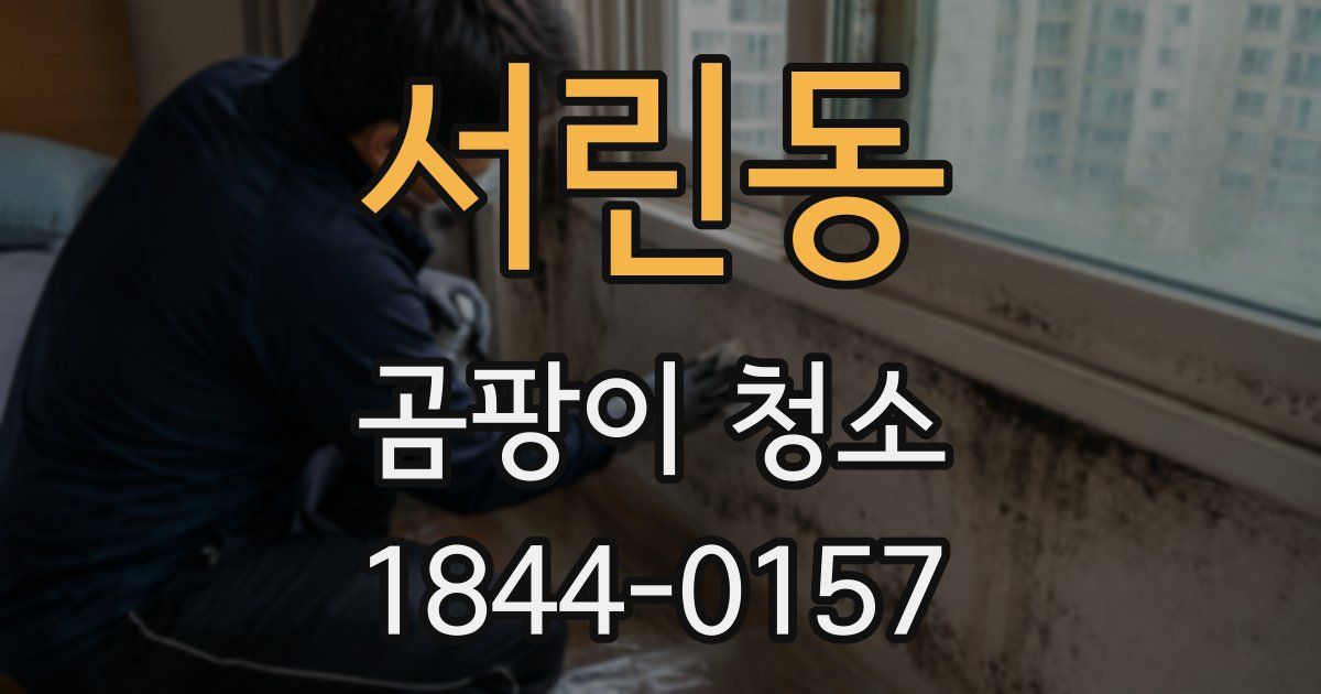 서린동 곰팡이 청소