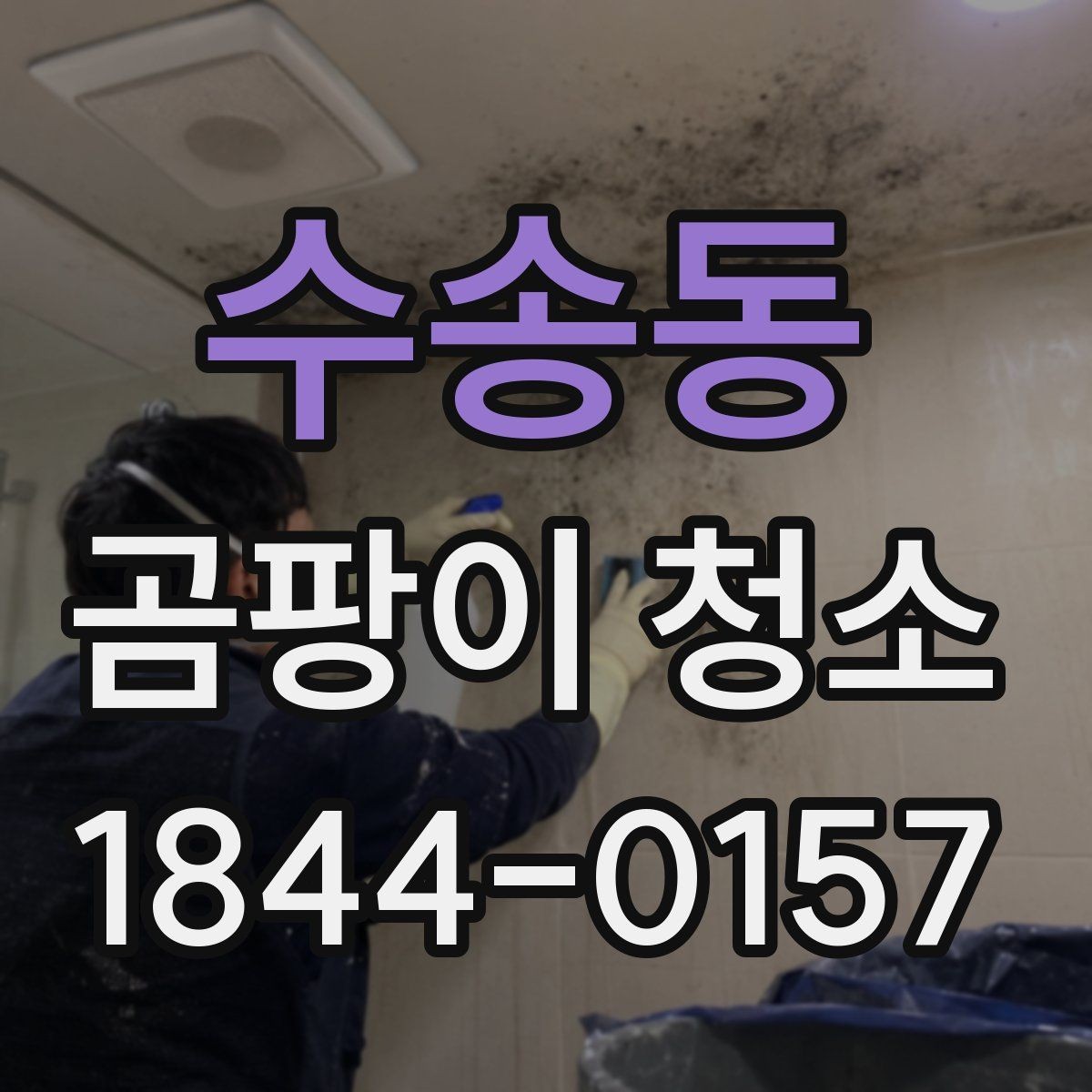 수송동 곰팡이 청소 방법과 준비사항