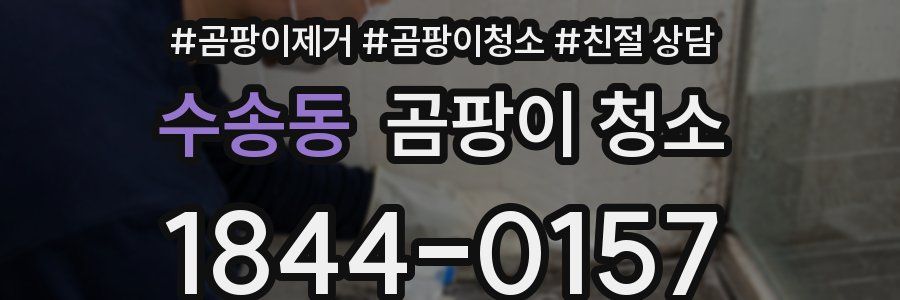 수송동 곰팡이 청소