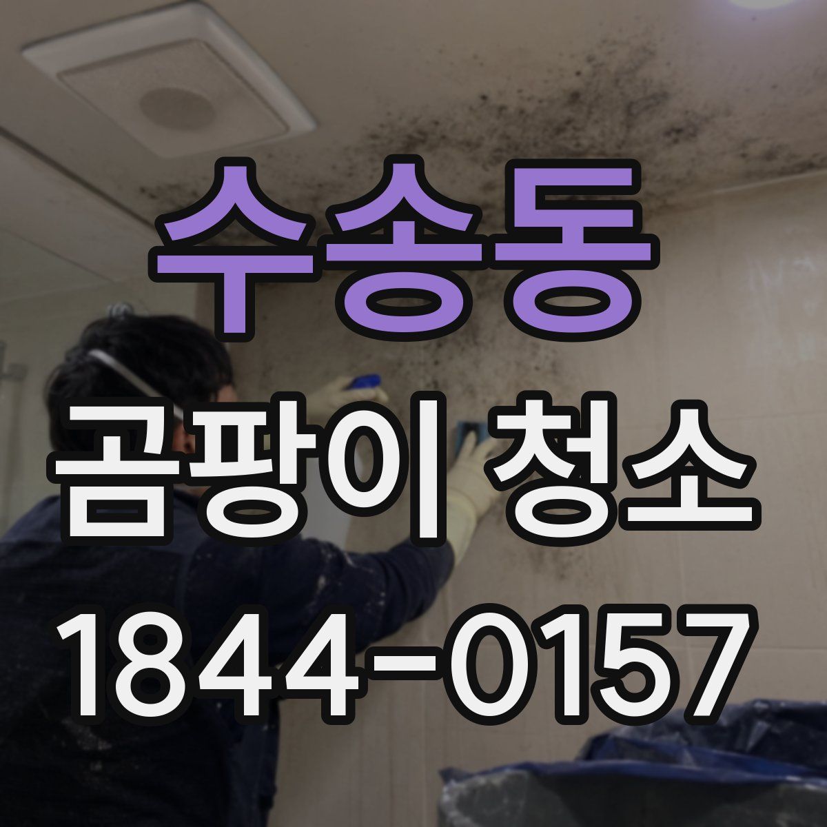 수송동 곰팡이 청소