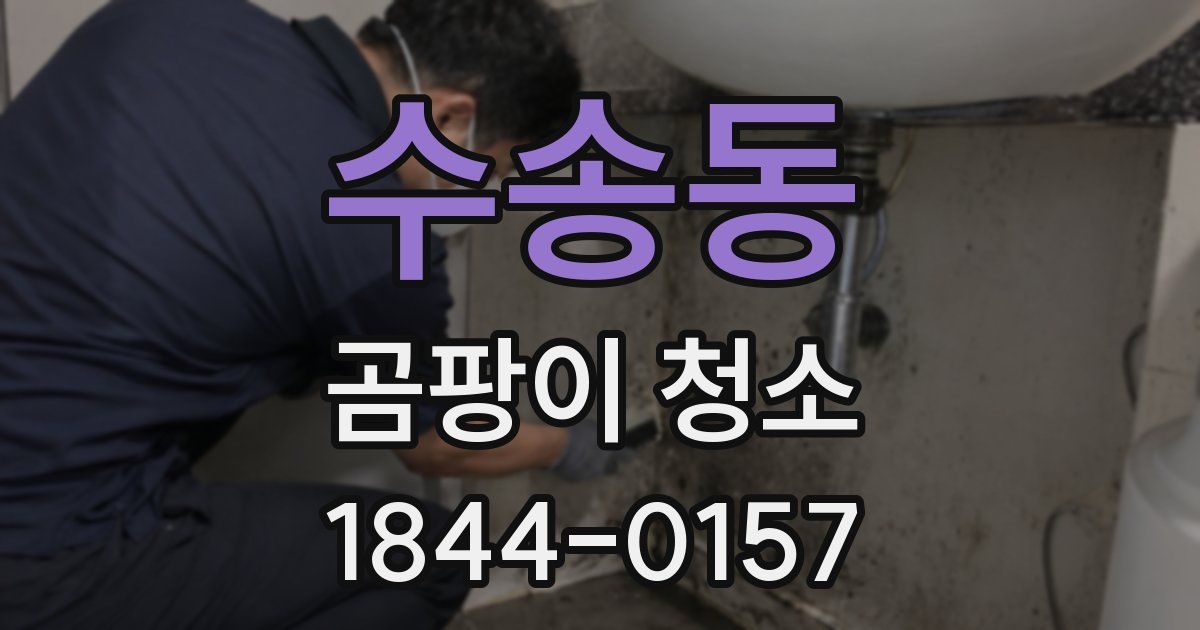 수송동 곰팡이 청소